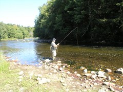 Wild Adirondack Trout Fishing