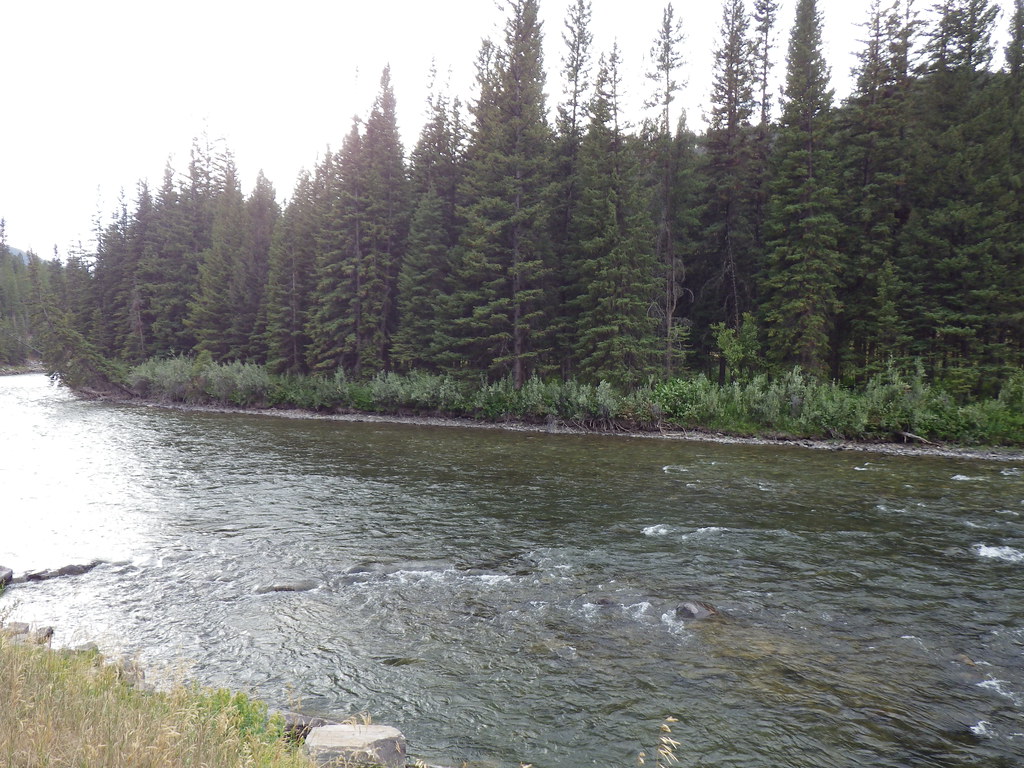 Upper Deer Creek