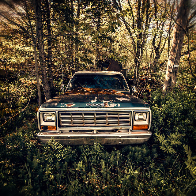 Old Dodge Truck from PEI