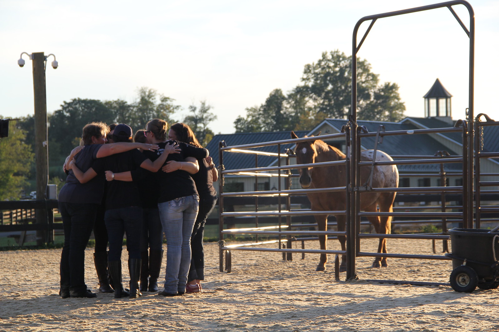 2015_T4T_Salamander Equine Therapy 59