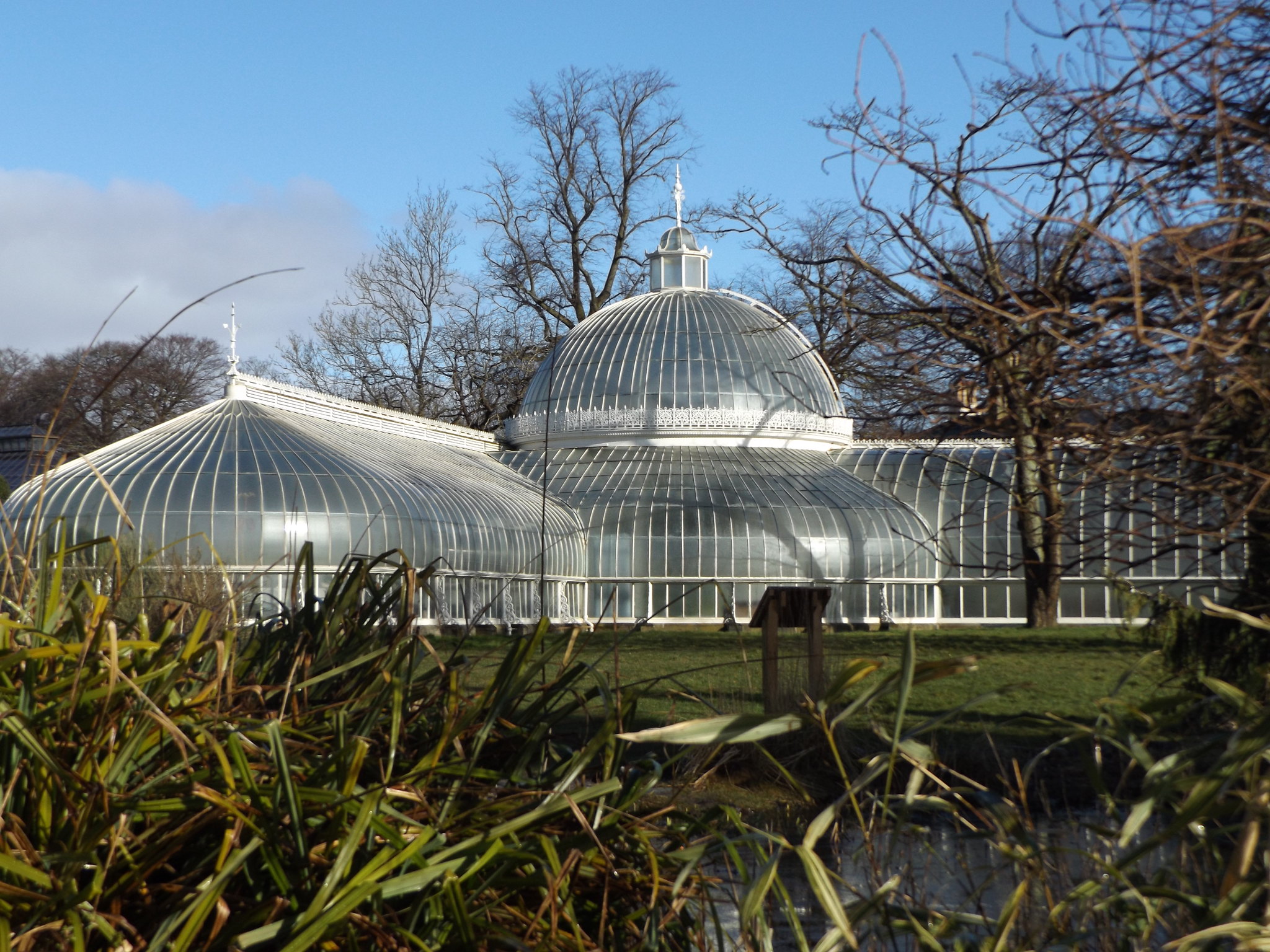 Kibble Palace and Pond, Botanic Gardens, Glasgow, 5 April 2018