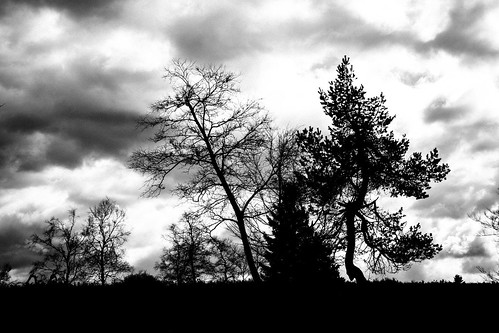bäume deutschland hochsauerlandkreis kahlerasten nrw natur sauerland silhouette winterberg sw sonydscrx100 landscape bw tree trees geotagged