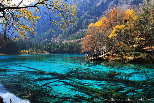 world china travel november blue autumn sky cloud lake reflection tree heritage tourism nature water horizontal forest wonder landscape outdoors photography leaf day natural nopeople landmark images clear getty change multicolored sichuan 九寨沟 viewpoint naturalwonder jiuzhaigou scenics worldheritage tranquilscene colorimage 五花海 beautyinnature scenicspot foriage sichuanprovince wuhauhai