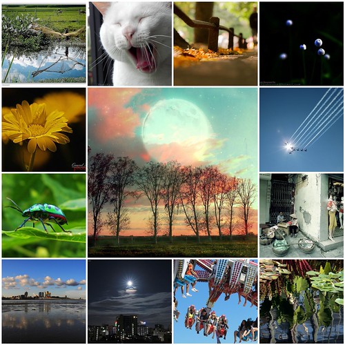 My favorites... Explore !!! | by mskarim বশীর