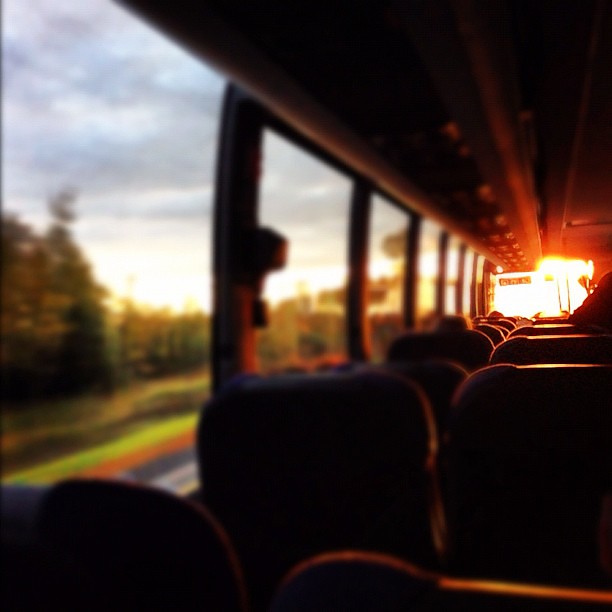 #bus #sunburst