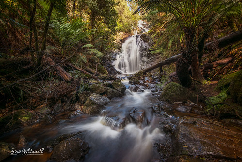 australia tasmania northerntasmania nietta silverfalls waterfall longexposure littlestopper nikon nikond800e nikon1635mmf40