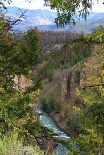 Basalt Cliffs of the Yellowstone River Valley | by texasfires