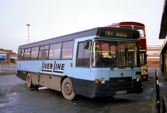 Liverline E829AWA