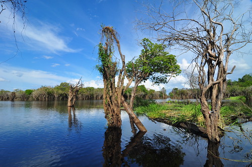 Wetland Indonesia | by raiyani_muharramah
