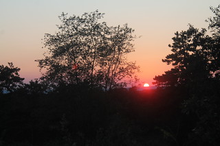 Blueberry Hill Sunset