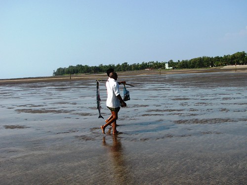 Picture 227 by Inditourists,                                