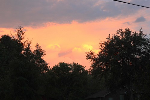 trees sunset rain florida thunderstorm