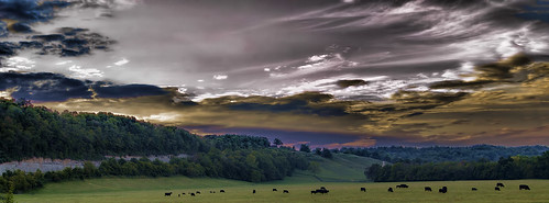 sunset sky clouds sunrise landscape scenery cattle cows kentucky scenic hills fredericktown kentucky” “springfield