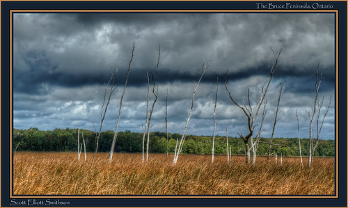 ontario canada color nature clouds canon scott landscape mar bruce dramatic greatlakes 7d wetlands peninsula brucepeninsula dramaticsky smithson photomatix eos7d dtwpuck scottsmithson scottelliottsmithson