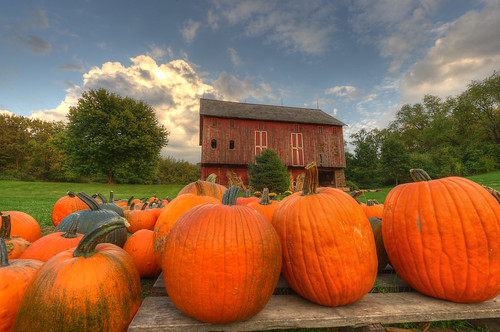 autumn ohio orange fall barn rural pumpkin geotagged nikon raw nef farm country hdr cs5 massillonohio d3s starkcountyohio nikkor1424f28 nikongp1 photomatixpro4 rohrbarn