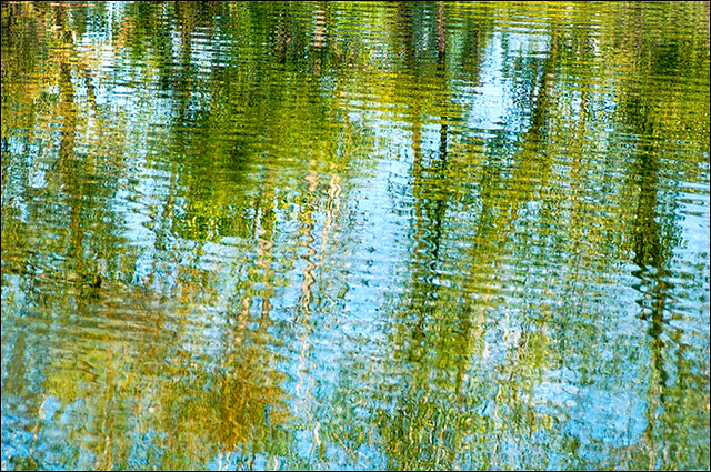 20120915_reflections