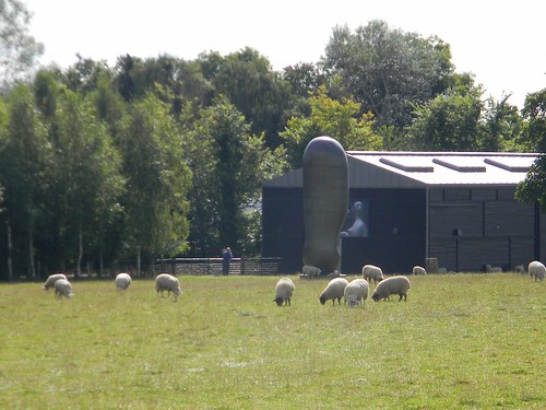 Sculpture and sheep Henry Moore Sculpture Park Roydon to Sawbridgeworth