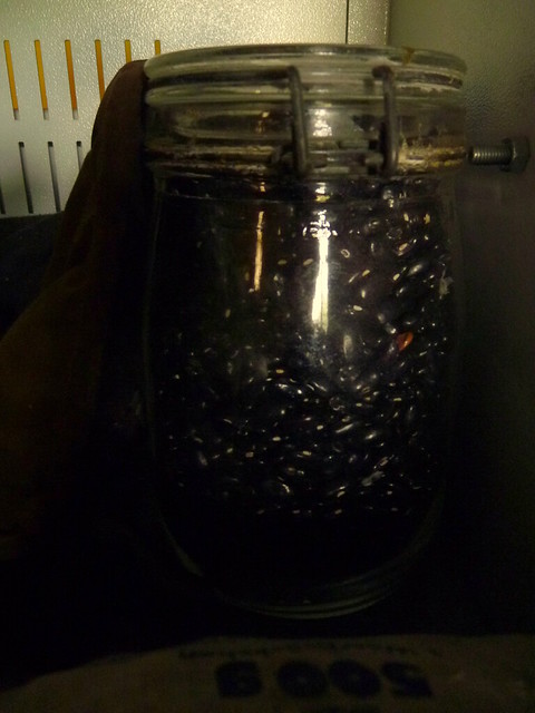 Jars of dried Trail of Tears beans