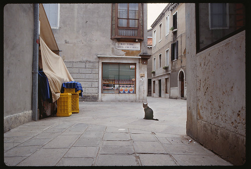 Le Chat | by westvillagebob