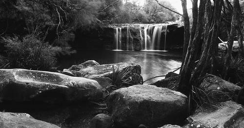 nsw southern highlands australia nellys glen carrington falls robertson long exposure mamiya rb67 velvia fujifilm velvia50