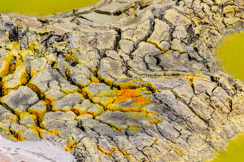 Colorful ground | by John W Little