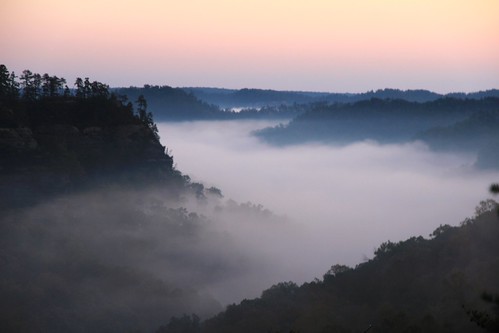 Fog in the Valley | by karen roussel