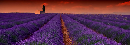 Instant Magique...... | by Malain17