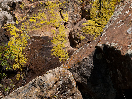 Rock Rust | Colored moss on some rocks | visualrhetor | Flickr