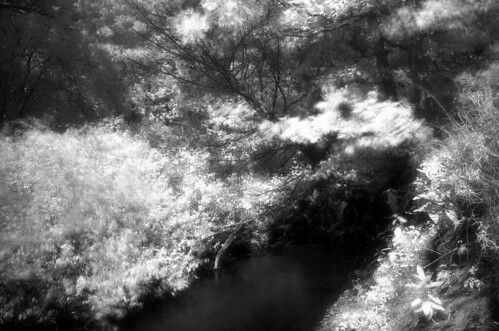 trees blackandwhite bw film monochrome mi creek river landscape ir diy md stream minolta michigan 28mm surreal hc110 infrared epson f28 v300 srt101 muskegon efke homedeveloped rokkor sunny16 dilutionb waternature ir820 iso1 gissiwas