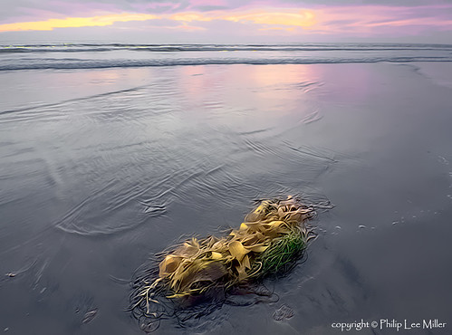 california seascape nature clouds landscape waves artistic sunsets pacificocean kelp beaches impressionistic topazclean magicunicornverybest galleryoffantasticshots
