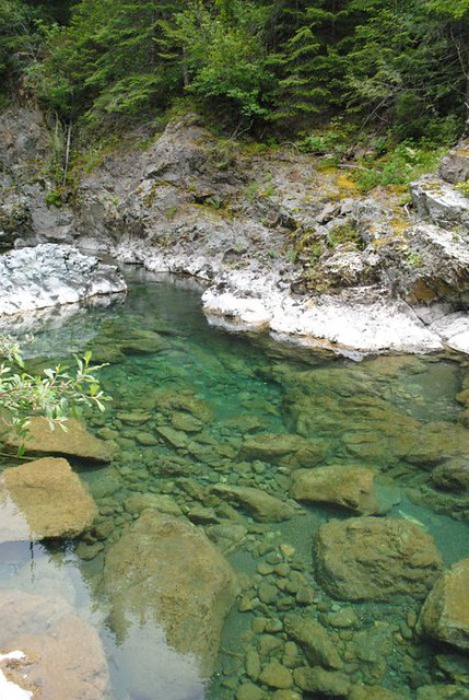 Gordon River - limestone
