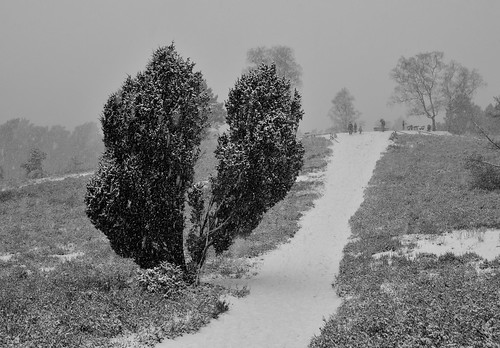 buesenbachtal trees bäume einfarbig landscape landschaft blackwhite blackandwhite monochrome schwarzweiss wörme schnee snow winter woerme sw bw