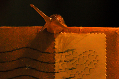 Slug on a letter | by Thomas Henderson