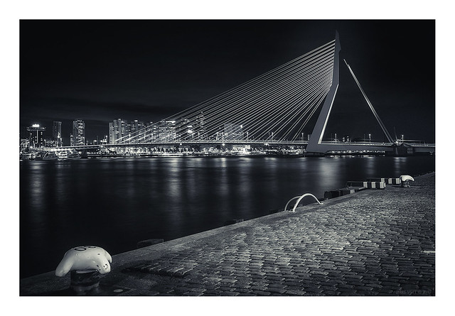 Rotterdam - Erasmusbrug IV