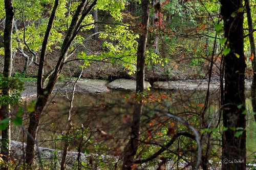 NutriaDenD90-020183 by PhotosByGil, Nutria Den - The water got low enough at Lake Lowndes in 2010 to expose the access channels and tunn