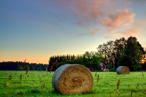 Colorful fields | by Limitsios George