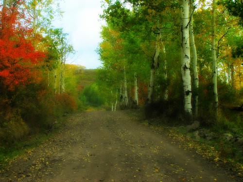 autumn rural colorado stormking aspen enhanced orton montrosecolorado cimarronrange