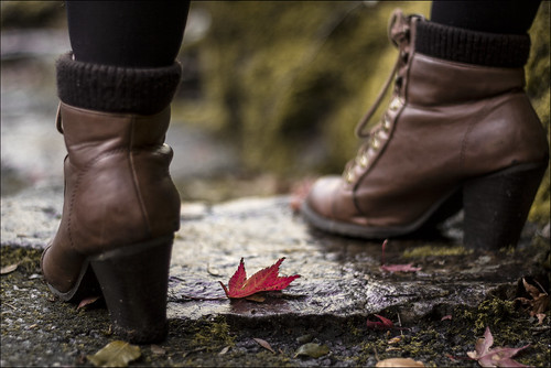 park red tree feet canon garden 50mm leaf shoes boots aberdeen 18 johnstone