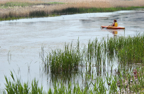 kayaking kayaks lakestclair stjohnsmarsh michiganseagrant