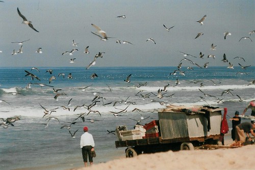 FisherMensEnemy | by miguel_m83