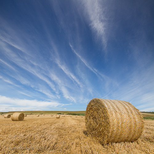 uk blue autumn light shadow england sky cloud sunlight tractor english texture nature lines weather clouds composition rural canon landscape island countryside scenery skies natural britain pov farm patterns country farming rustic wide perspective straw blues wideangle september vectis isleofwight vista fields british hay agriculture bales bale landschaft isle wight bucolic foreground 2012 bailing 10mm leadinglines sigma1020 leadin s0ulsurfing vertorama bucolical worzels findbritain welcomeuk