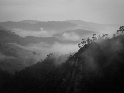 uganda black africa nera canon travel trip virunga mountains bw bwindi impenetrable national park blackandwhite nature mountain white foggy misty hazy landscape