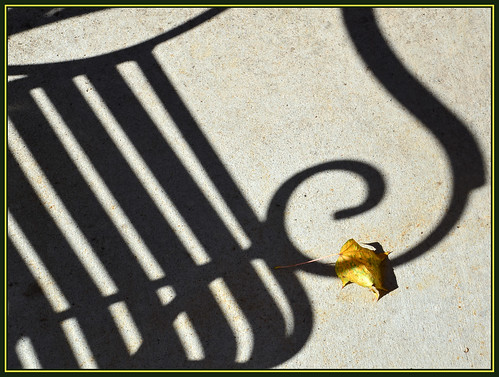 shadow tree fall bench leaf october seasons flickraward nikonflickraward