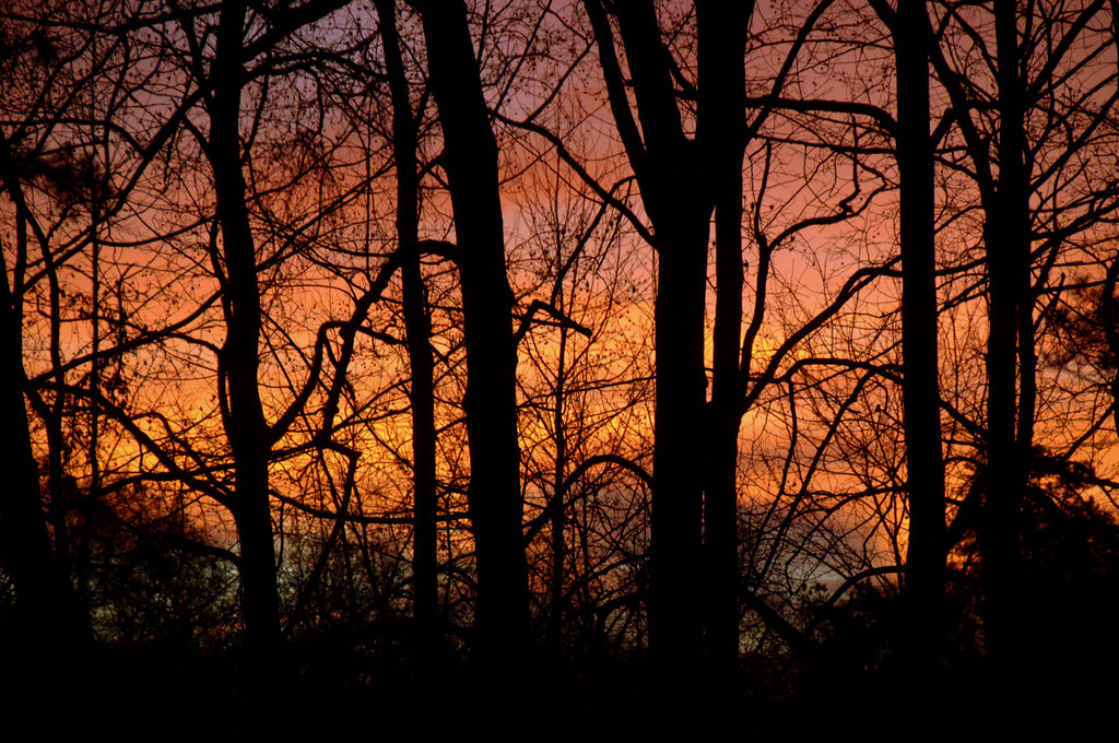 Sunrise | kingary | Flickr
