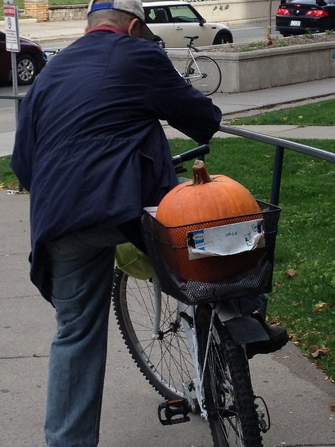 Have pumpkin, will travel.