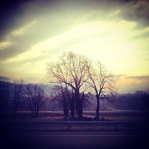 scheletri vivi. by streetheart.it, square squareformat iphoneography instagramapp xproii uploaded:by=instagram foursquare:venue=4eee484
