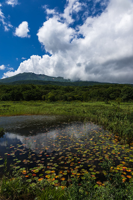 Tashirotai wetlands