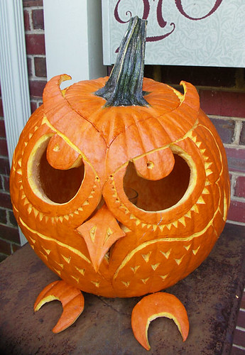 JackOWLantern | Nocturnal view to come when it gets dark eno… | Leah ...