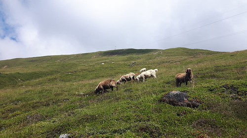 ABK Ötztal 2016