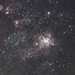 Tarantula Nebula imaged by Alan Meehan